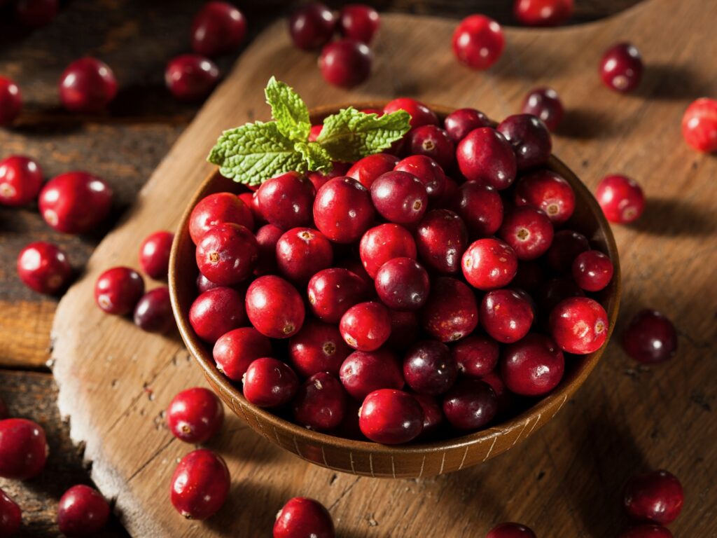 fresh cranberries wooden bowl healthy fruit